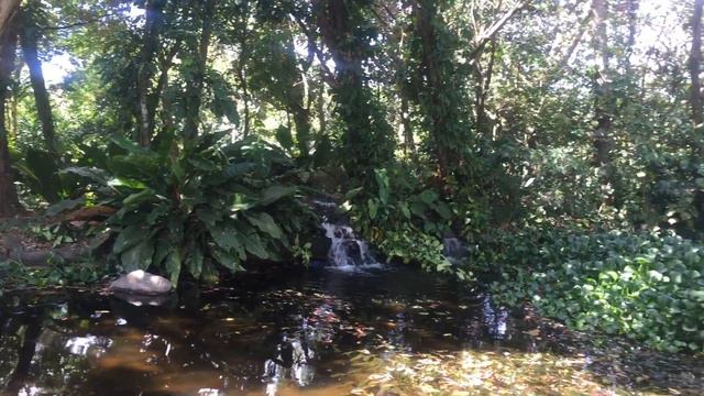 Travel Video: Costa Rica