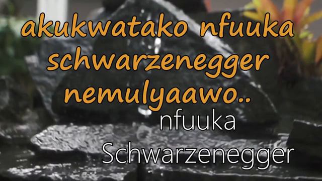 INDUNA Tomasa4WD lyrics смотреть онлайн