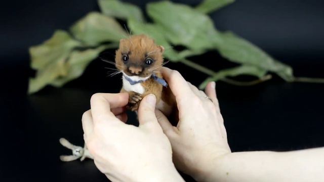 baby weasel by EmpiriaDolls смотреть онлайн