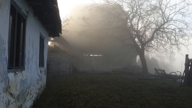 Radu Gyr - Antiteze смотреть онлайн
