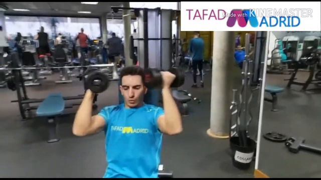 PRESS ARNOLD CON MANCUERNAS EN BANCO 90 GRADOS CON AGARRE PRONO SIMULTÁNEO