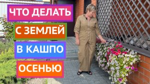 ЗЕМЛЯ В КАШПО ПОСЛЕ СЕЗОНА: ВЫКИДЫВАТЬ ИЛИ ОСТАВИТЬ?