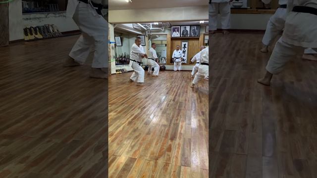Практика ката Печурин на Окинаве. Додзё Морио Хигаонна Сэнсея смотреть онлайн