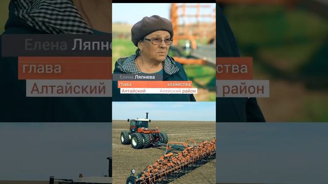 Борона пружинная против водотечин #сельскоехозяйство #agriculturelife смотреть онлайн