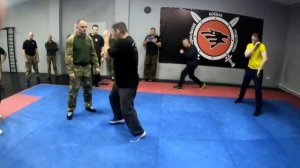 Михаил Грудев. Сайдстеп. Боевое искусство ИЗВОР