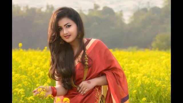 Holudia pakhi sonari boron by Abdul Alim || Folk song || Photomix смотреть онлайн