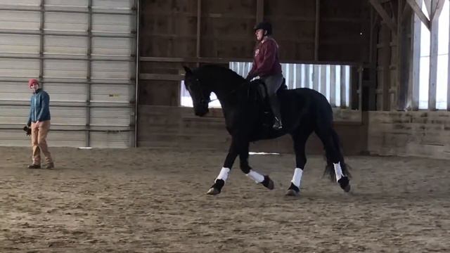 Lesson w Laura Noyes 3/26/17 part 2 смотреть онлайн