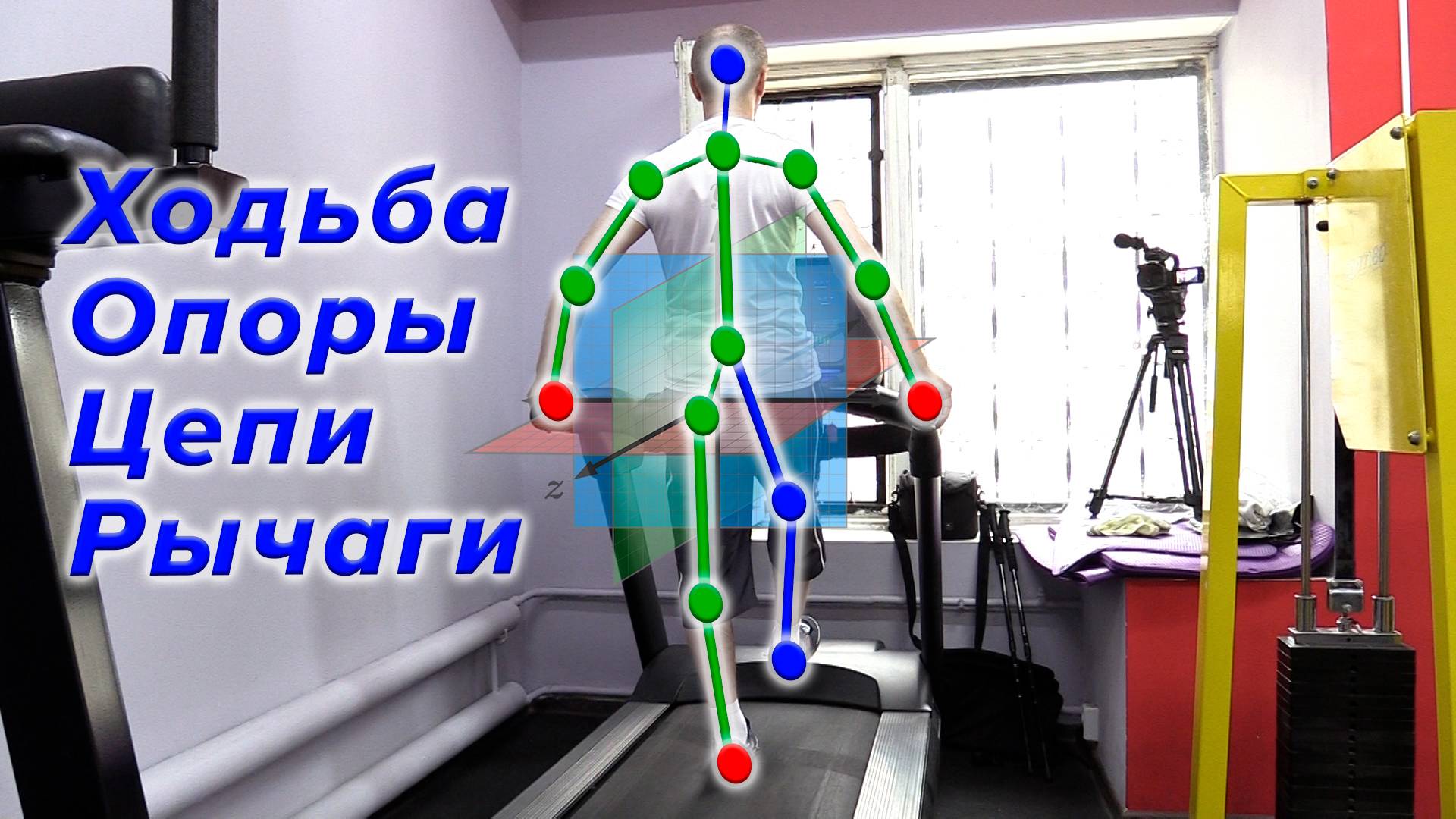Ходьба. Опоры. Цепи. Рычаги. смотреть онлайн