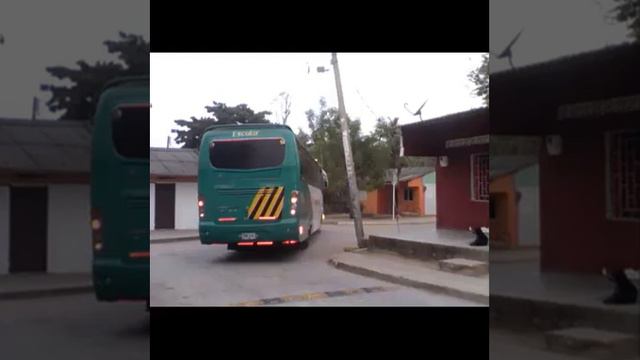 PAJARITO HERIDO Andres Teheran y Oscar Monterroza, autor : El negro Galindo смотреть онлайн