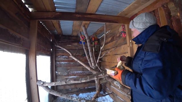 СПАСЕНИЕ КОТОВ, НОВЫЕ МОСЬКИ, БОРЬБА СО СНЕГОМ И С ЗАРАЗОЙ, БЕДА С СОЛОМОЙ! НОВОСТИ ПРИЮТА!!