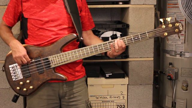 Ted Nugent - DogEatDog (Bass Cover) смотреть онлайн