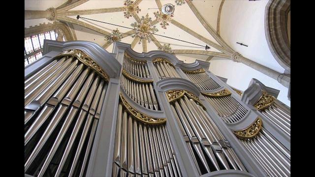 J.H. Knecht - Cantabile in d-moll Vincent van Laar смотреть онлайн