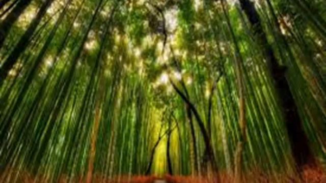 Ο ανθρωπάκος - Τάνια Τσανακλίδου смотреть онлайн