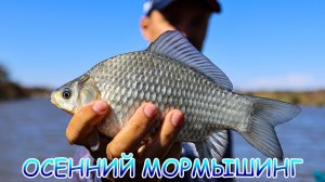 Осенний мормышинг! Карась на МОРМО!