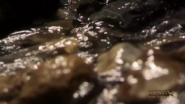 DJ Vini - Vision (VJ AuX) смотреть онлайн