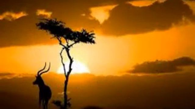 En un Atardecer Cantan Los Tres Amigos смотреть онлайн