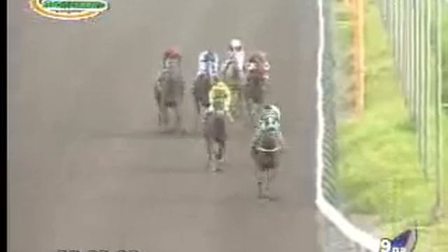 LADY SHATZI - CL. FELIPE PARDO Y BARREDA ( L ) 2000 m смотреть онлайн