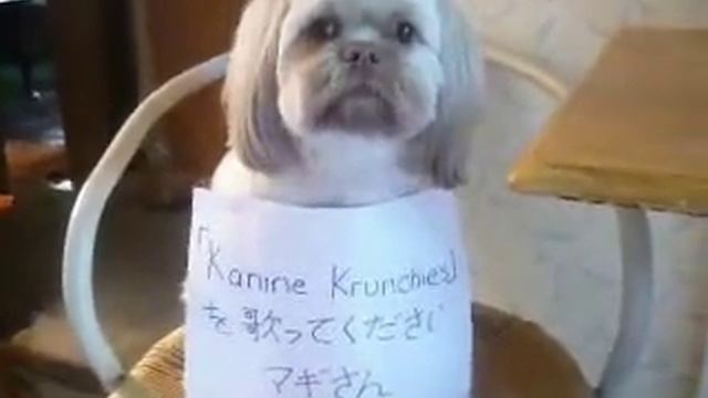 Kanine Krunchies смотреть онлайн
