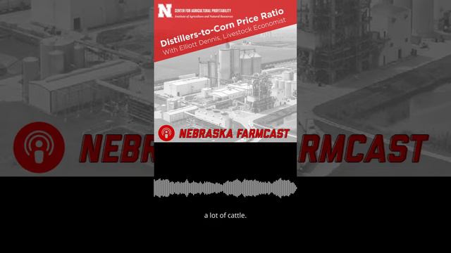 Distllers' to corn Price Ratio with Elliott Dennis смотреть онлайн