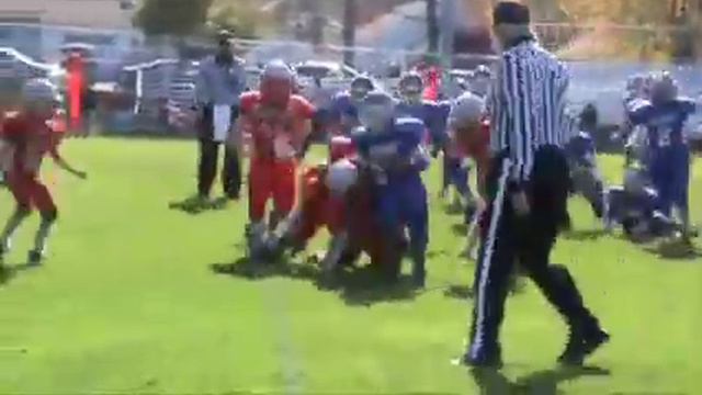 Wee Vikes football смотреть онлайн