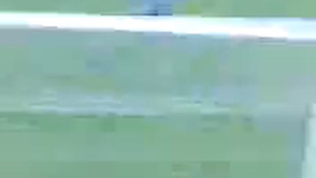 Excelsior-NEC 2-0, Goal Voskamp