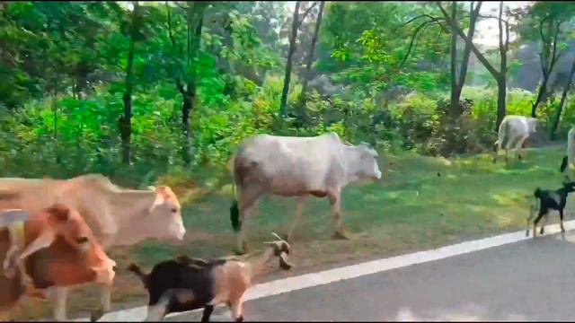 E Juạn | Sujata Soren| Santali Christian Juạn Song | Santali Christian Video Song