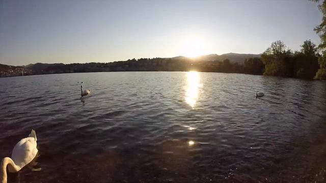 Leandro Scherrer | Welcome to Chilli Pro Scooter смотреть онлайн