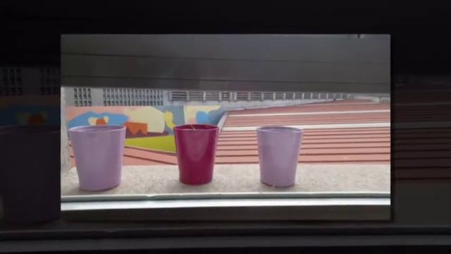 PROXECTO COLABORATIVO