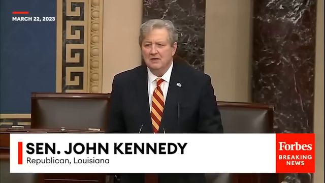 'You Know What I Learned Today?': John Kennedy Rips Biden, Yellen On Senate Floor смотреть онлайн