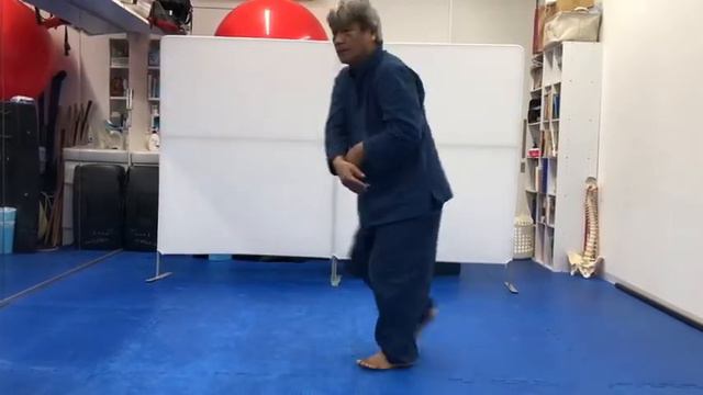 Martial Arts 5Bird Play -4(Monkey Agility) смотреть онлайн