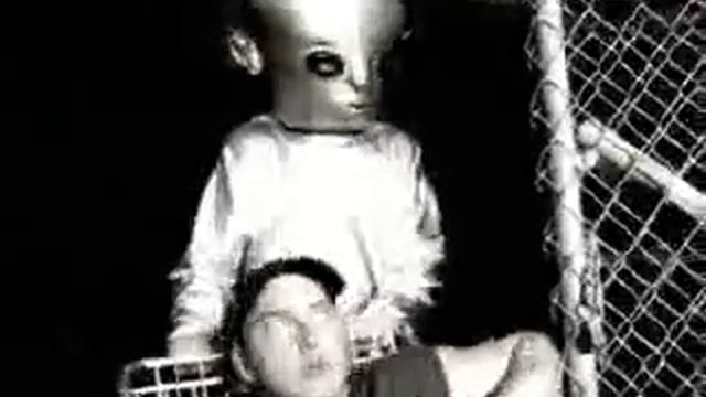 eminem just dont give a fuck with lyrics смотреть онлайн