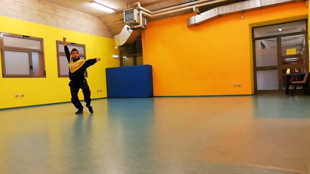 Wushu Meihuaquan Wushi 梅花拳 смотреть онлайн