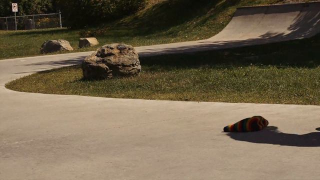 DSC | Random Radness #17 | Brompton смотреть онлайн