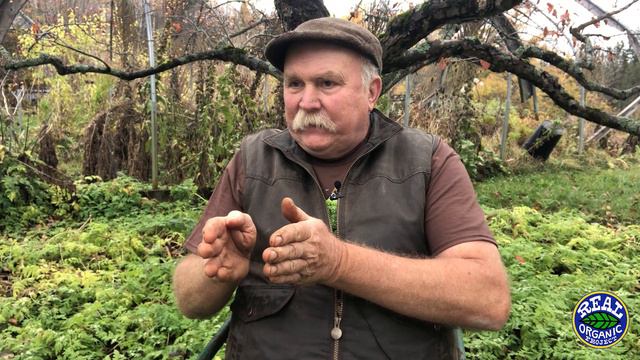 Michael Phillips | Restoring Degraded Land With Outrageous Biodiversity And Fungal Networks | 035 смотреть онлайн