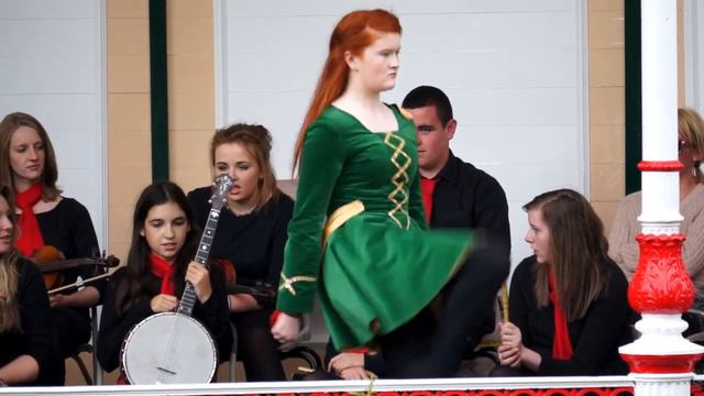 Ards CCE - Dusty Miller