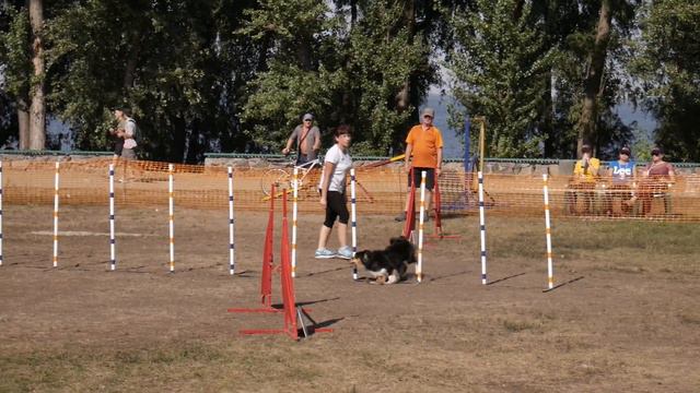 GAMES Snooker - Паламаренко Тетяна шелтi CASSANDRA MELCHERRI | CherkasyOpenAgility