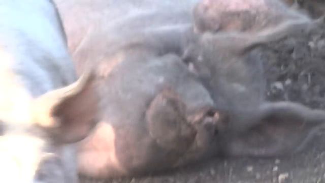 Дальнобой.48 / Простой рабочий день смотреть онлайн