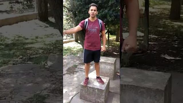 Martin Pescador