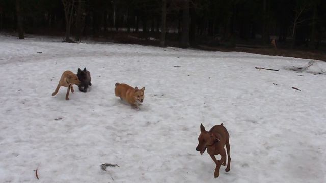 ЛИЗА, ДИНА, ГЛАША И ЯСЯ: КАРУСЕЛЬ НА СНЕГУ смотреть онлайн