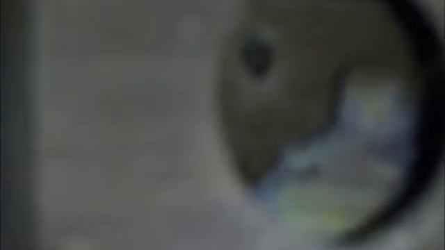 2015 02 11 Die Bremer