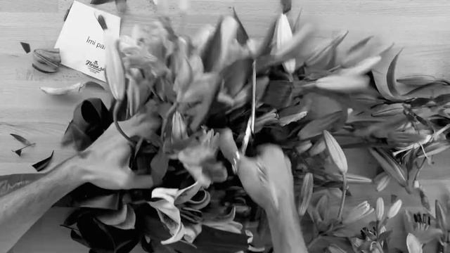 Floria.ro - Îmi Pare Rău (pentru El)