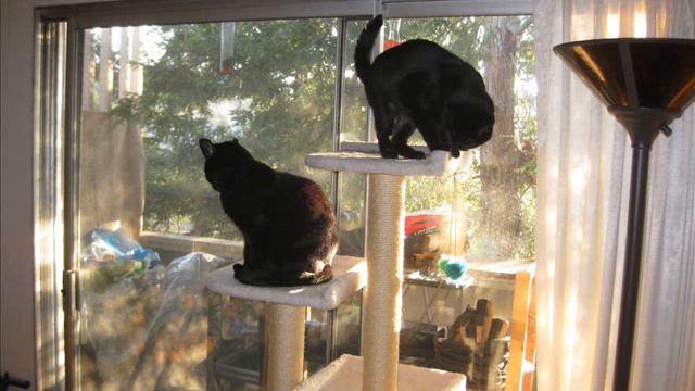 Stephen Malkmus & The Jicks LIVE In Brussels - Old Jerry  4.13.2003