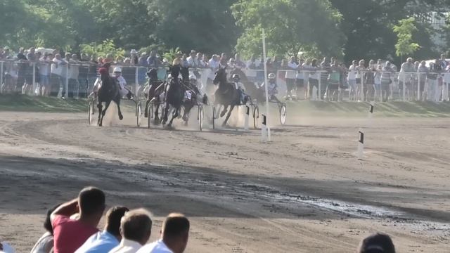 Trka "Probni Derby" 30.06.2019 Imola - Branko Skenderović смотреть онлайн
