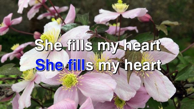 You Raise Me Up - Josh Groban | KARAOKE VERSION