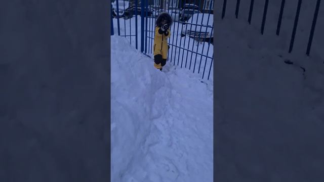 зима 21 Назар смотреть онлайн