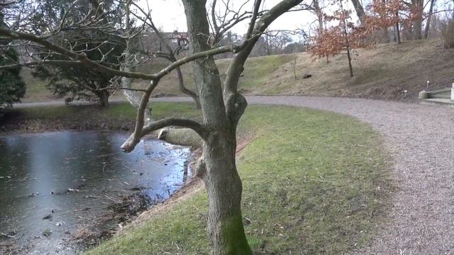 Your Cheating Heart - PARDIS PIRZADEH смотреть онлайн