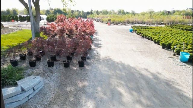 SiteOne In Addison, IL