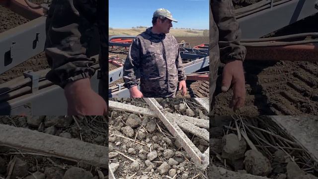 Обслуживание бороны зубовой Стеллар #сельскоехозяйство #farming смотреть онлайн