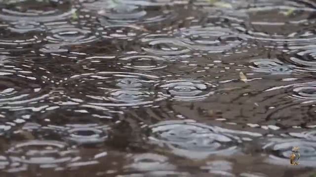 Семен Надсон Мелодии смотреть онлайн