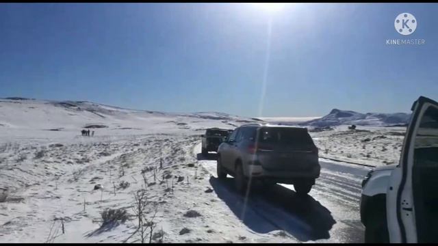 Snowfall In Impendle, KZN